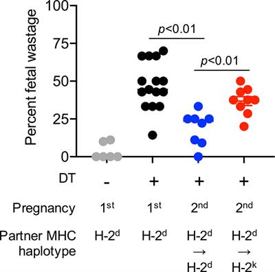 Epidemiology of Pregnancy Complications Through the Lens of Immunological Memory